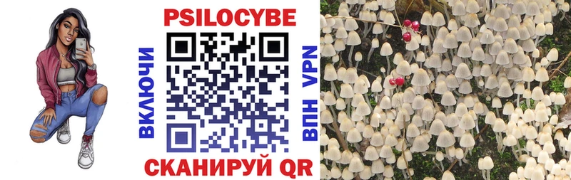 Купить  Славск  Галлюциногенные грибы GOLDEN TEACHER 
