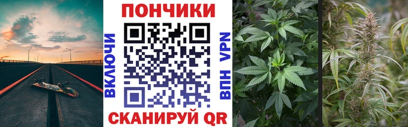 Купить где  Славск  Шишки марихуана Amnesia 